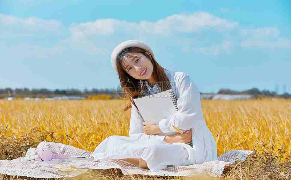 日本 站群服务器