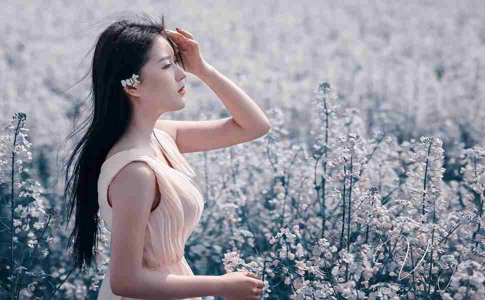 流量精灵刷站群